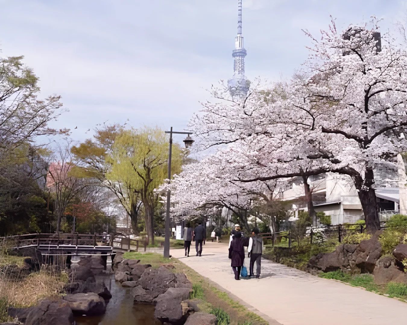 An evening walk beside the water in Oyokogawa Shinsui Park near Kinshicho.