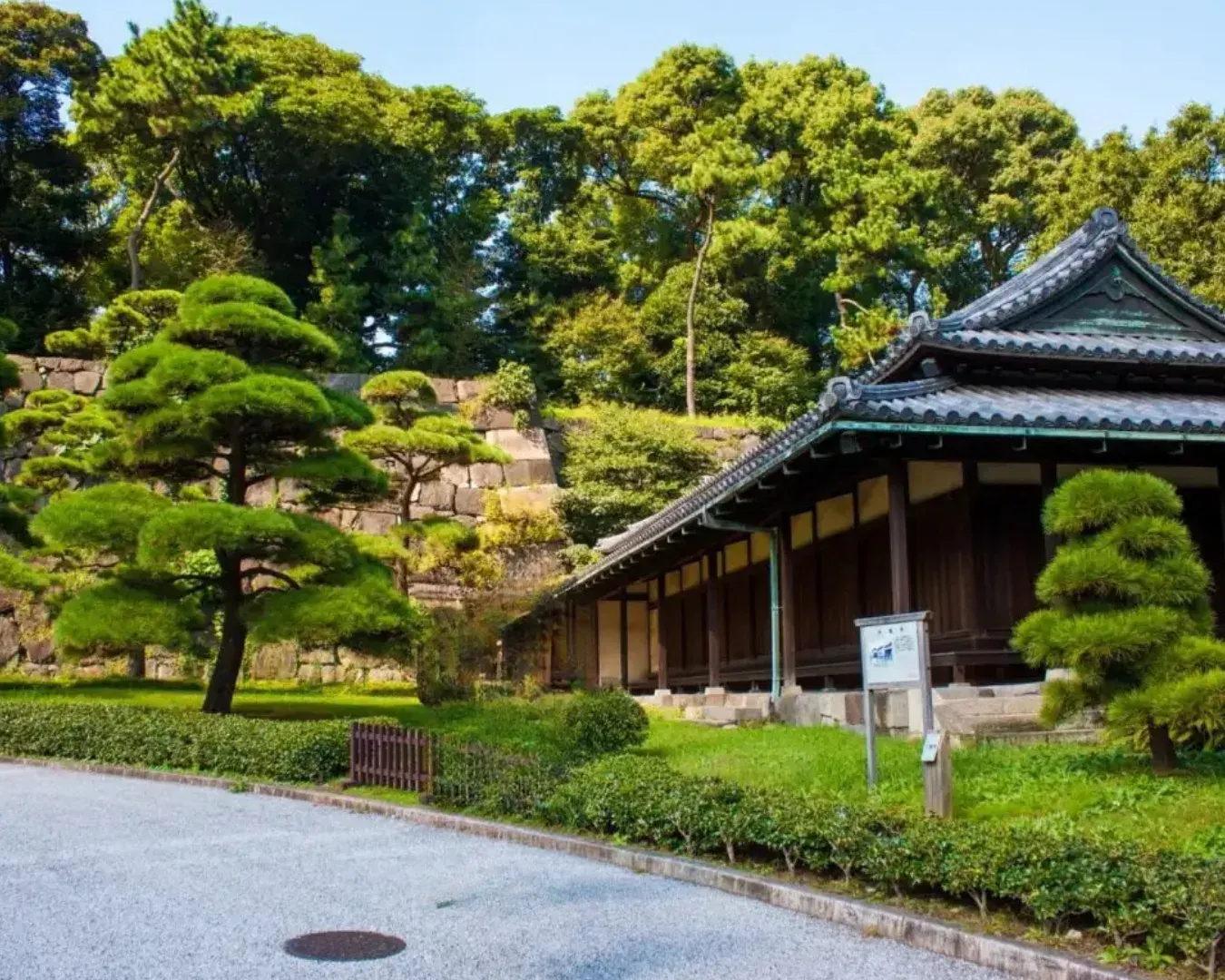 Black pine trees and open space at Kokyo Gaien with Marunouchi towers in the background.