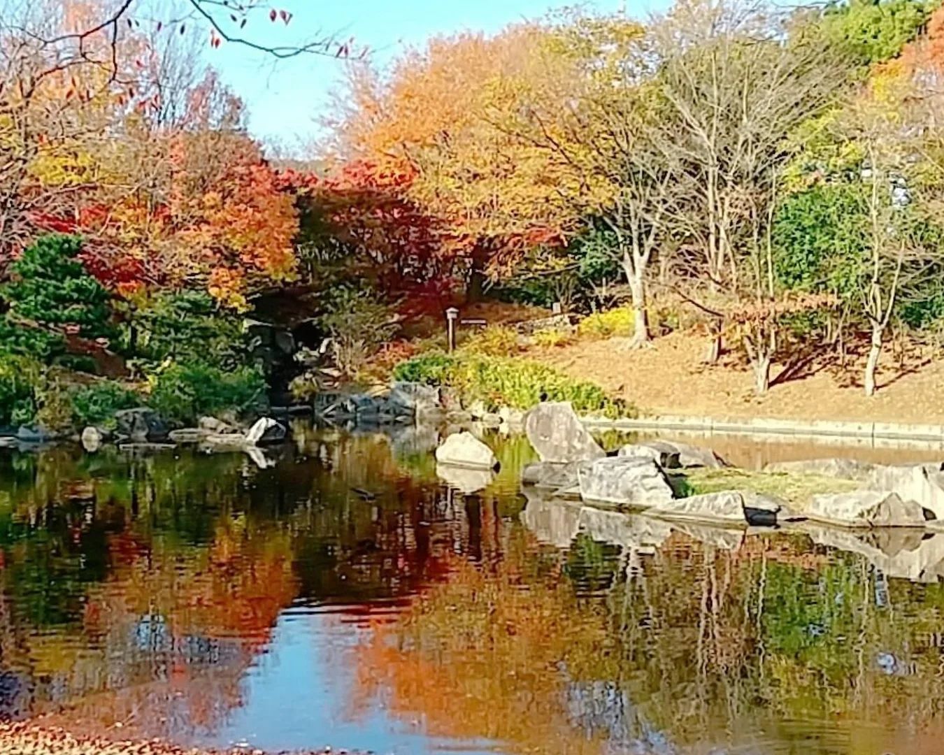 A pond, lawn, and walking path at Sarue Onshi Park near Kinshicho.