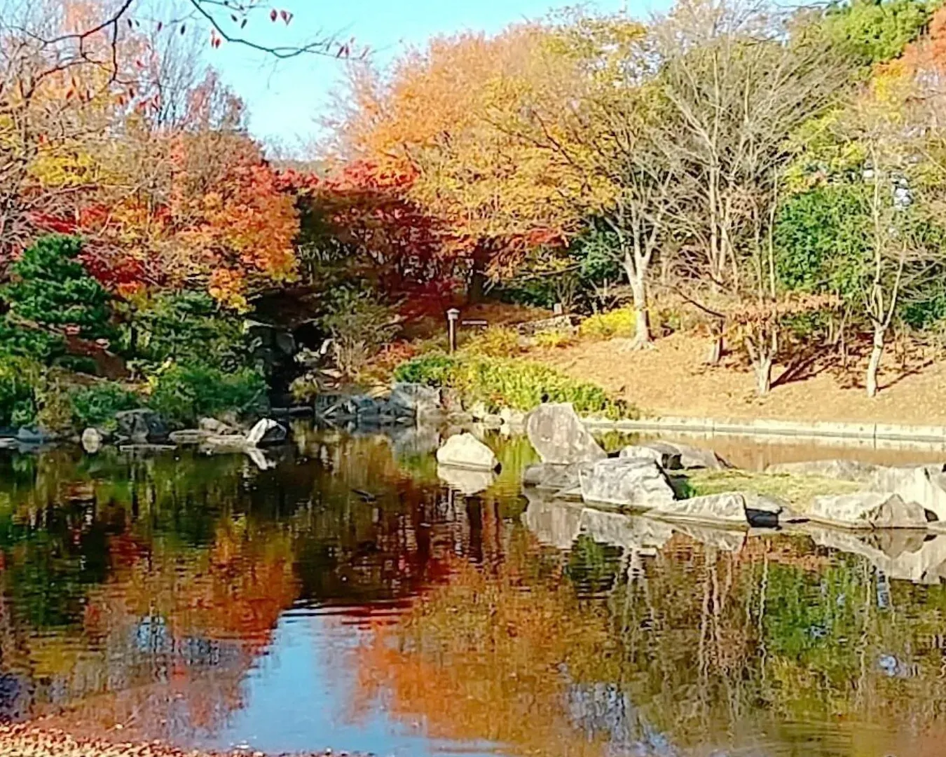 A pond, lawn, and walking path at Sarue Onshi Park near Kinshicho.