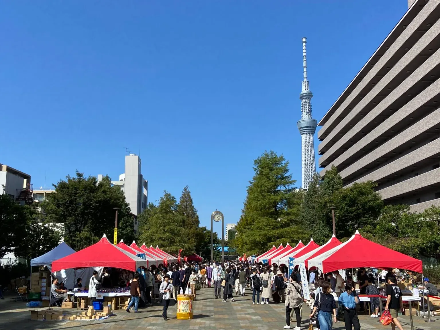 Everyday groceries for a one-month stay in Tokyo