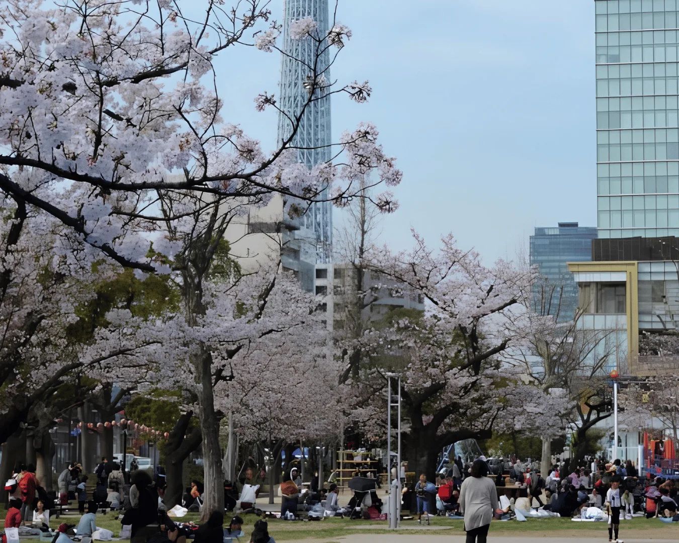 A quiet walk through Kinshi Park with Tokyo Skytree visible in the distance.  Caption