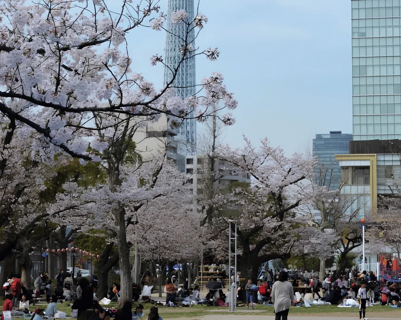 A quiet walk through Kinshi Park with Tokyo Skytree visible in the distance. Caption