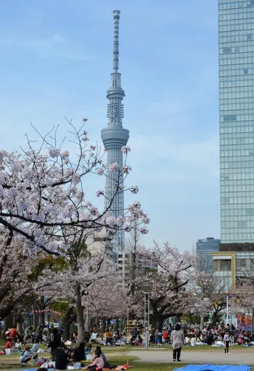 Kinshi Park near Kinshicho with walking paths, benches, trees, and Tokyo Skytree during a long-stay neighborhood test.