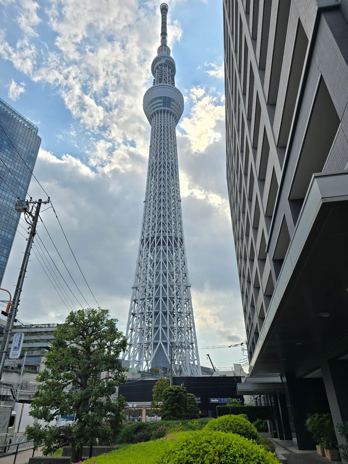 Tokyo Skytree appearing above a neighborhood street at the end of an afternoon walk