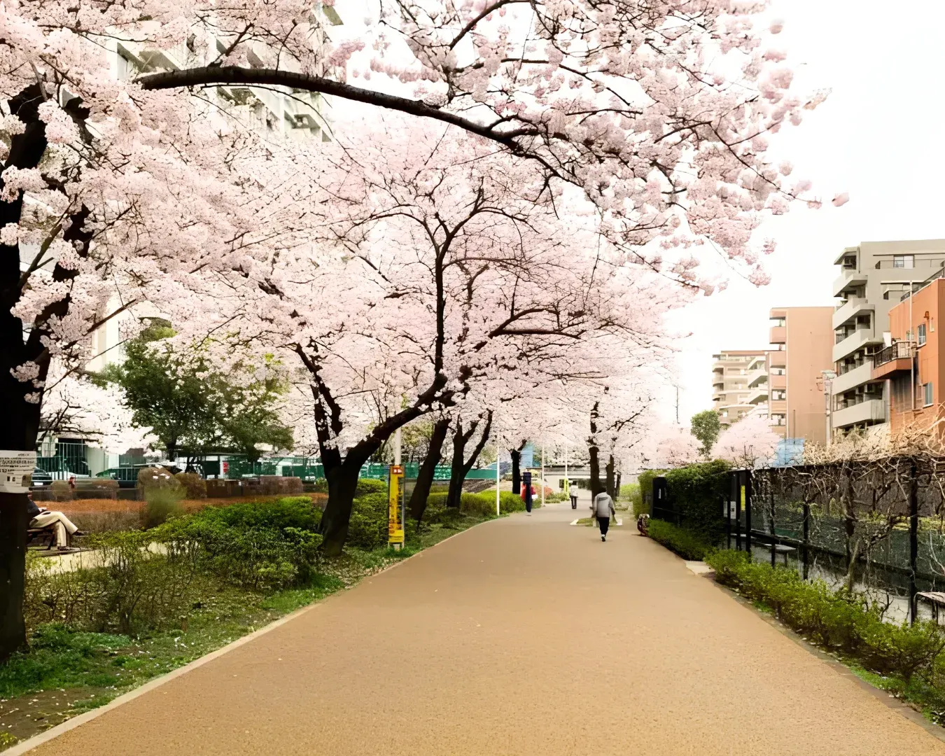 An afternoon walk through Oyokogawa Shinsui Park with Tokyo Skytree in the distance
