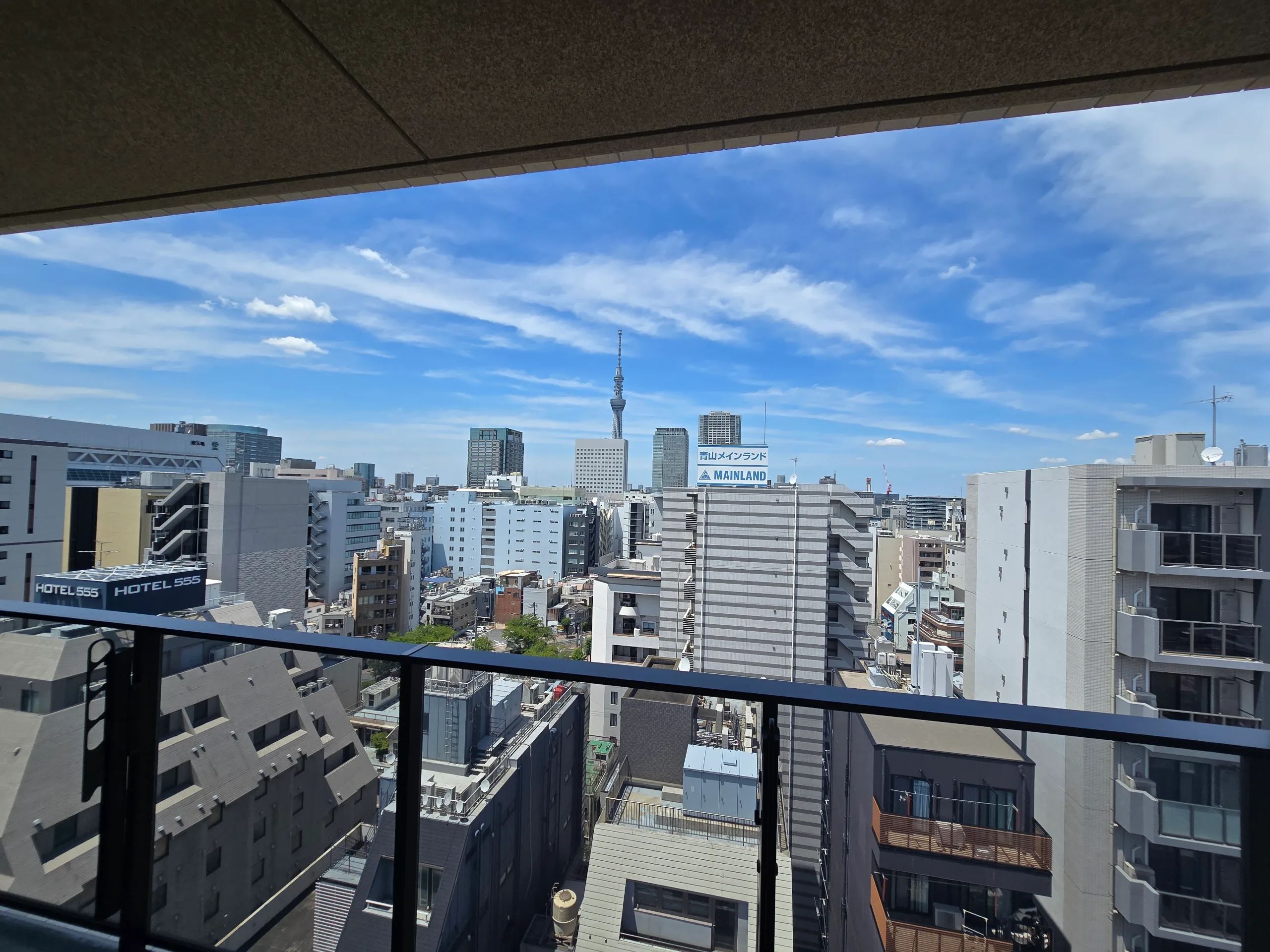 HIVEN Kinshicho BK 1303 - Cat concept / Skytree View (25)