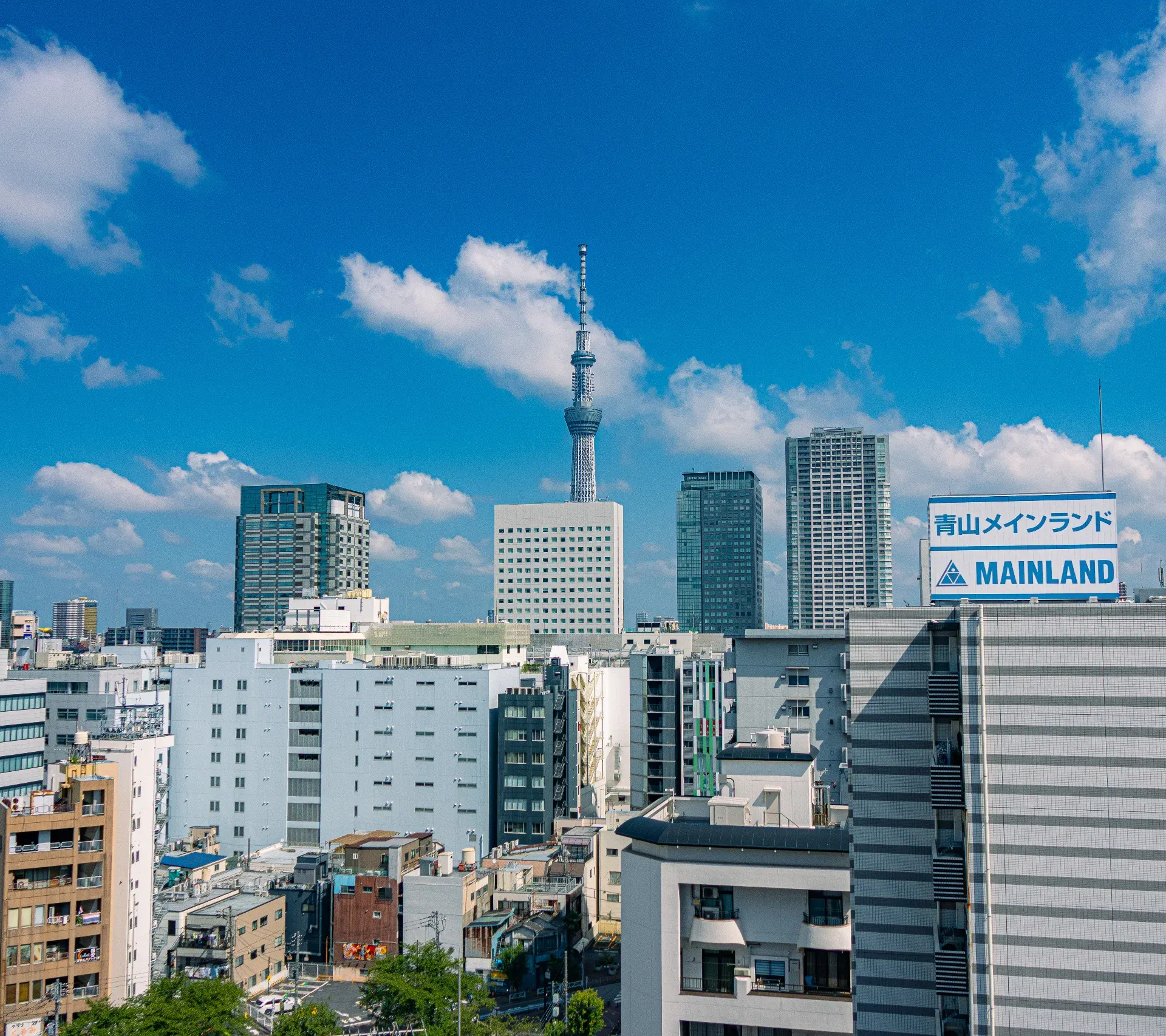 BK 1403 | Premium Skytree View