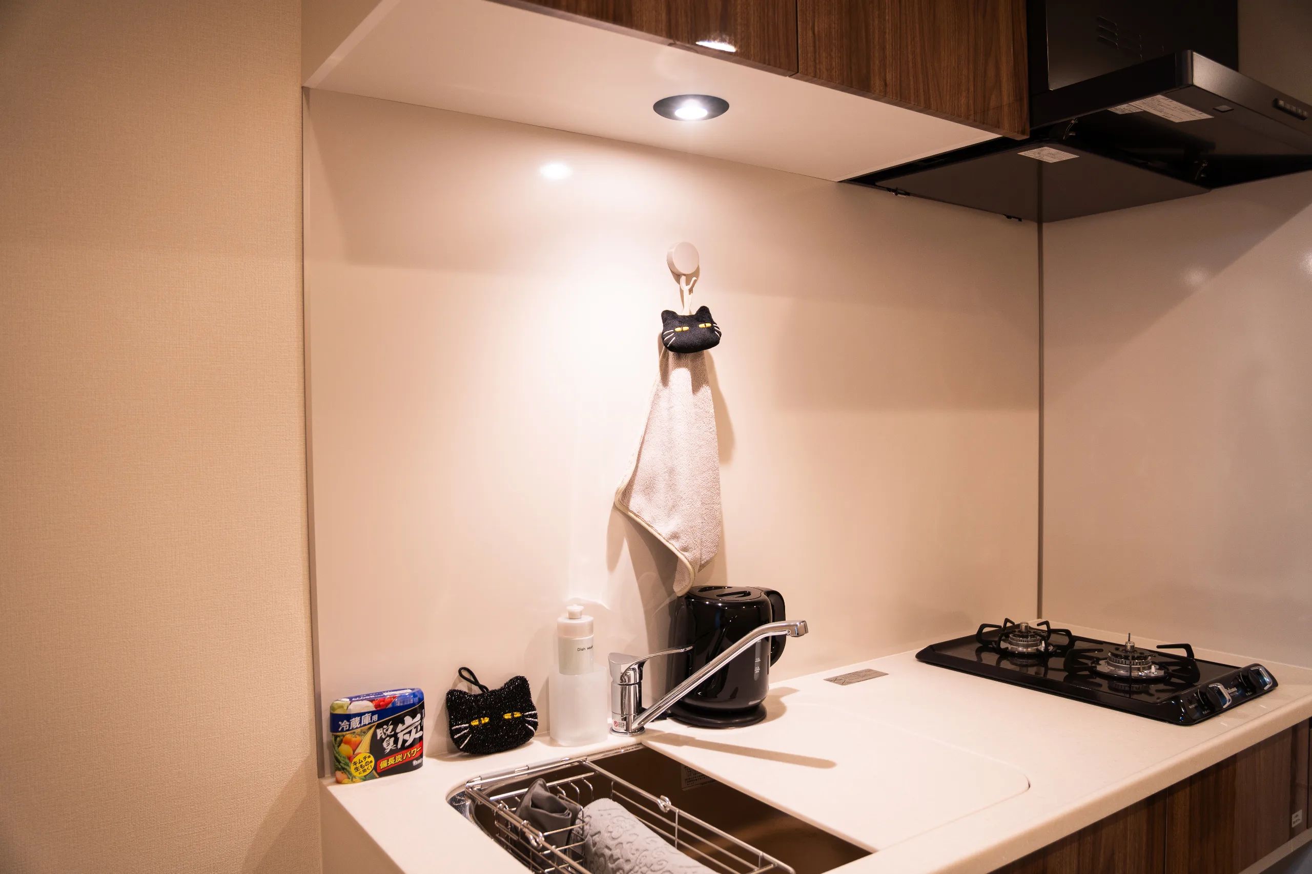 HIVEN Kinshicho BK 1302 - Cat concept / Skytree View (26)