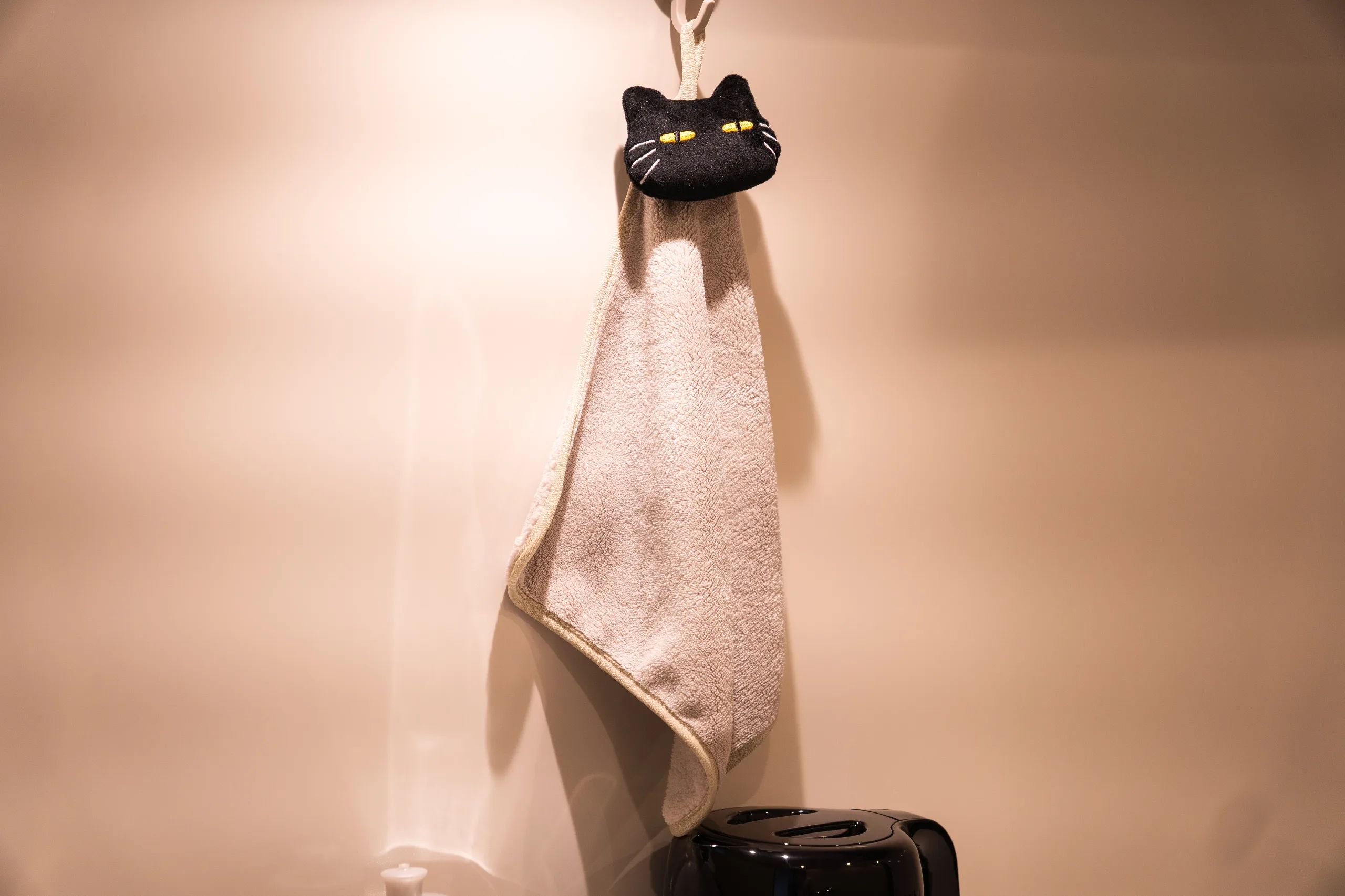 HIVEN Kinshicho BK 1302 - Cat concept / Skytree View (28)