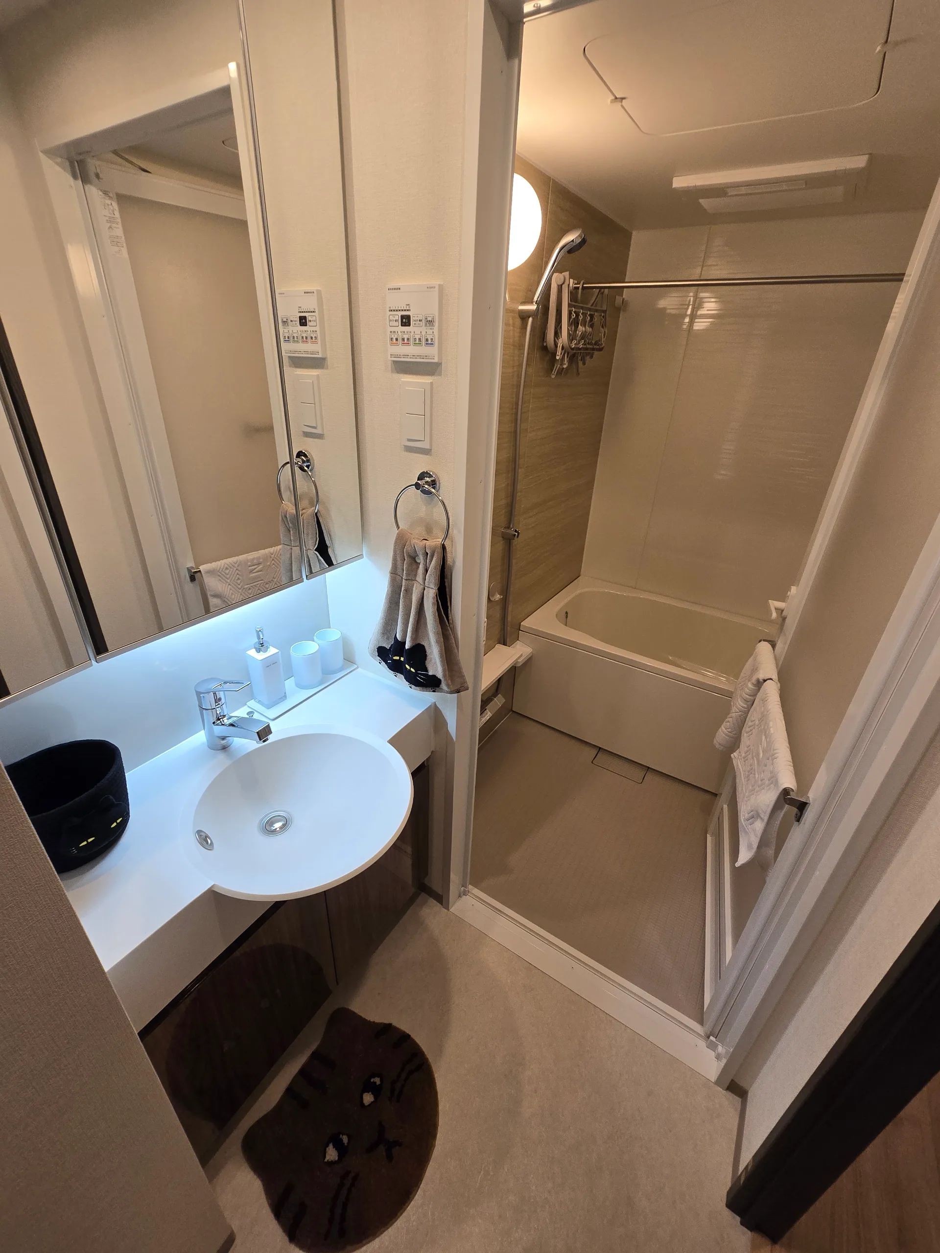 HIVEN Kinshicho BK 1302 - Cat concept / Skytree View (10)