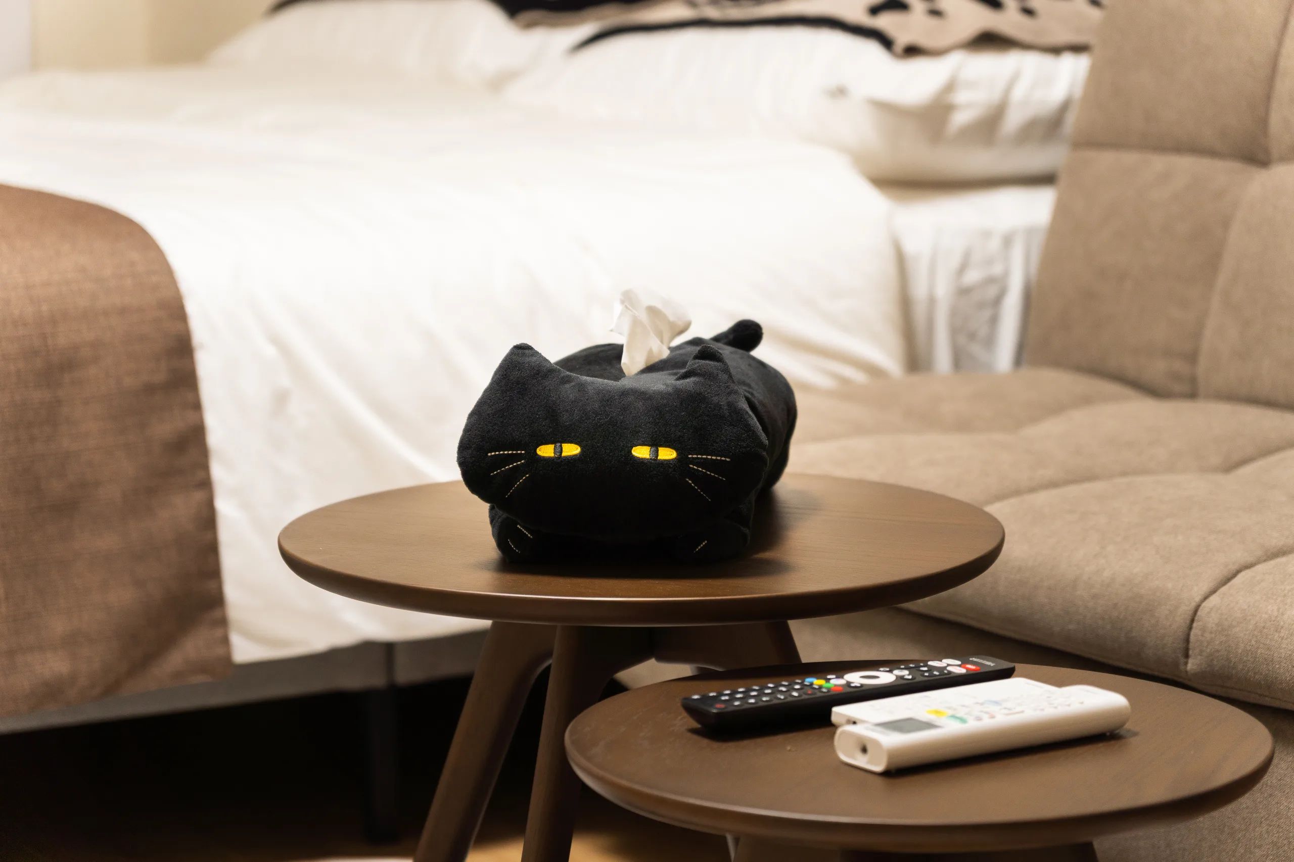 HIVEN Kinshicho BK 1302 - Cat concept / Skytree View (2)