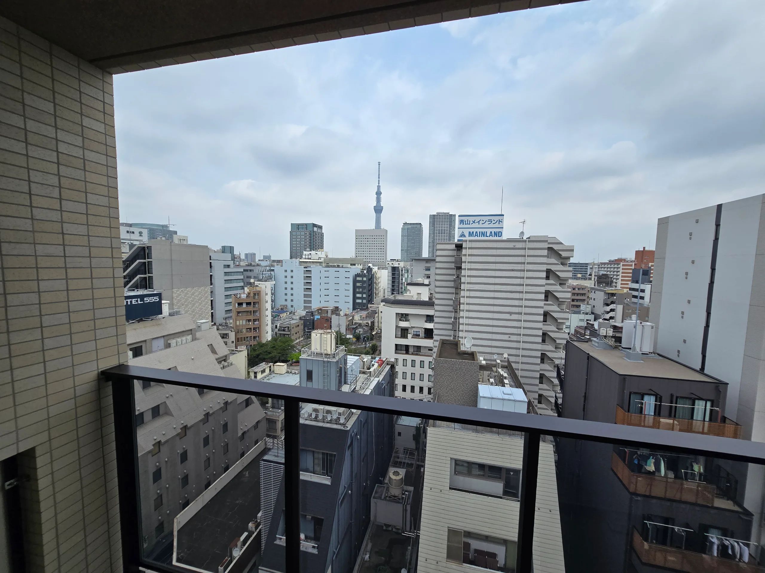HIVEN Kinshicho BK 1302 - Cat concept / Skytree View (15)